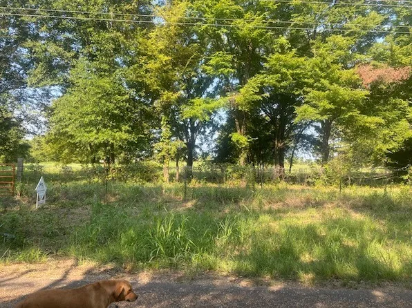 1373 Vz County Road 2112, Wills Point, TX 75169