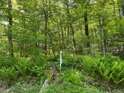 0 Arthur Pease Rd, Middlefield, MA, 01243