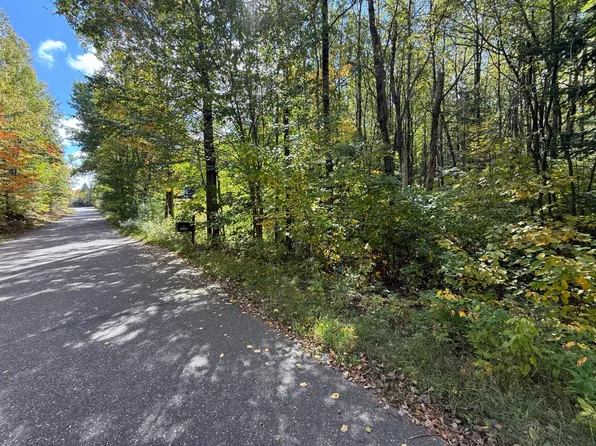 LOT 1.24 Swamsauger Heights Rd, Tripoli, WI 54564