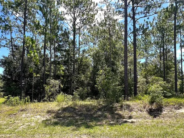 0 SW 68th Loop Lot 31, Dunnellon, FL 34432