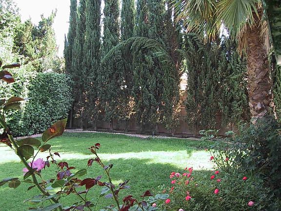 Private yard