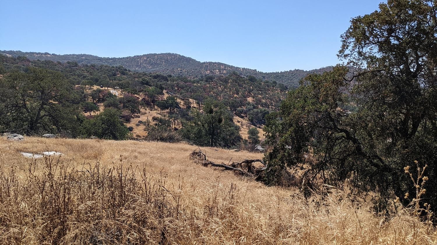 330 Panorama Ln, Squaw Valley, CA 93675 Zillow