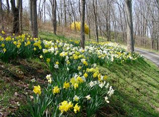 19725 Woodtrail Rd, Round Hill, VA 20141