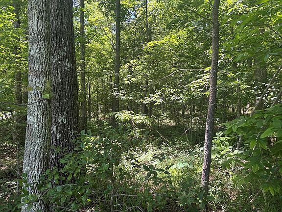4th image of 254 Buck Cir