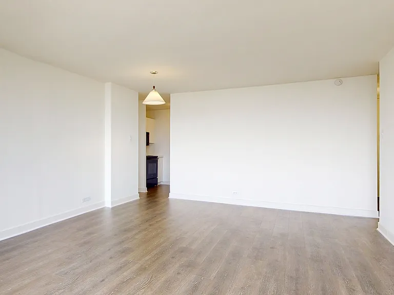Dining/Living room