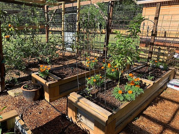 Garden interior