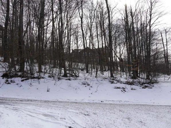 45 Winterset Dr, Davis, WV 26260