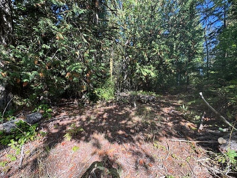 3rd image of 0 E Agate Road