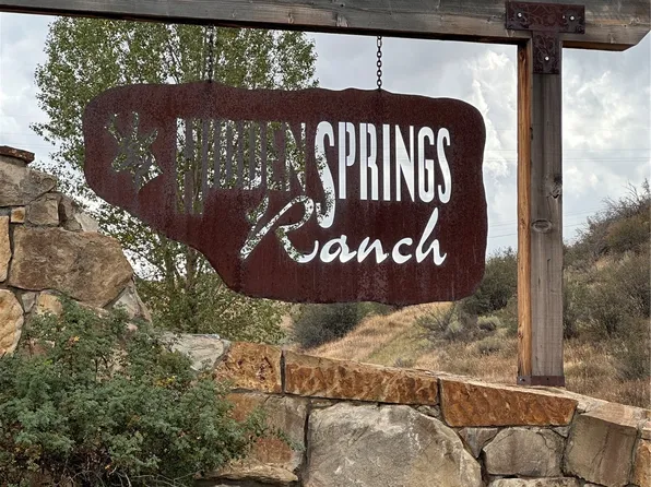 38625 Hidden Springs Drive, Hayden, CO 81639