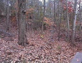 5th image of 116 Hidden Oaks Dr