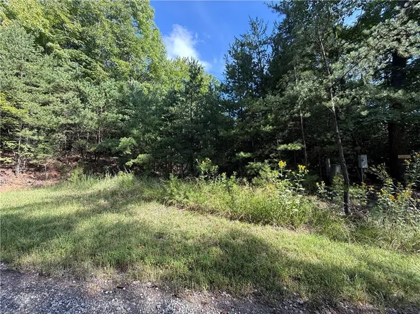 24 Wolf Pen Rd Lot 24, Purlear, NC 28665