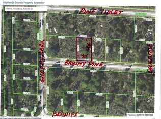 3421 Brushy Pine Rd, Lake Placid, FL 33852