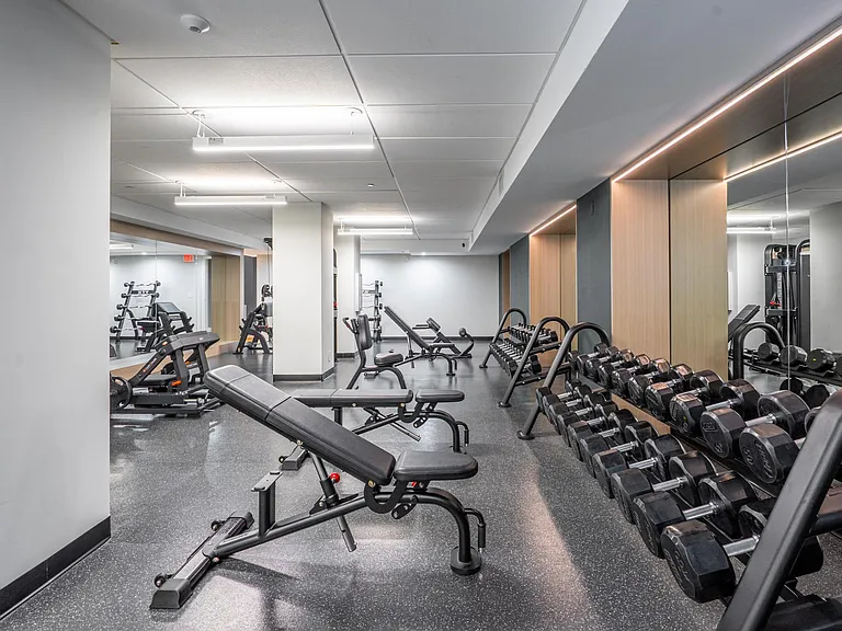 Free Weight Strength Training Area
