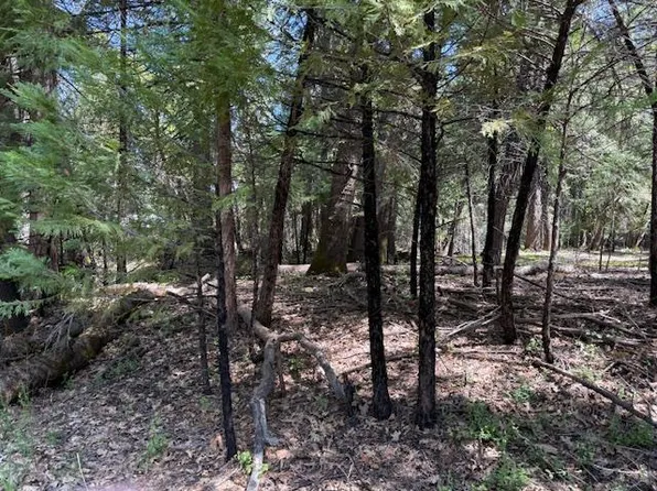 Timberland, Foresthill, CA 95631