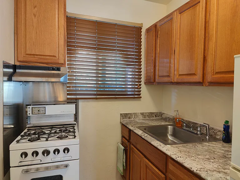 1011 N Palo Verde Blvd #2 — Photo 7