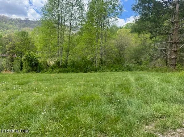 School House Rd, Lejunior, KY 40849