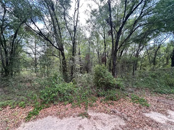 816 Crestwood Ave, Inverness, FL 34453