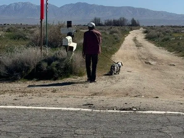 0 Vac Cor Lot 61, Palmdale, CA 93591