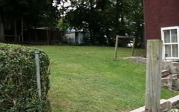 Back yard