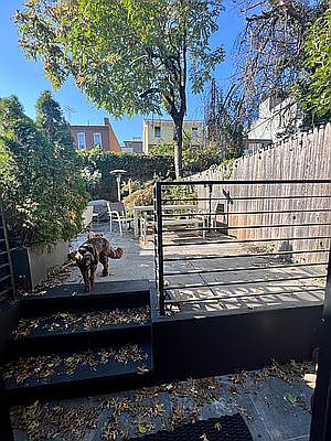 4th image of 1105 Greene Ave #1