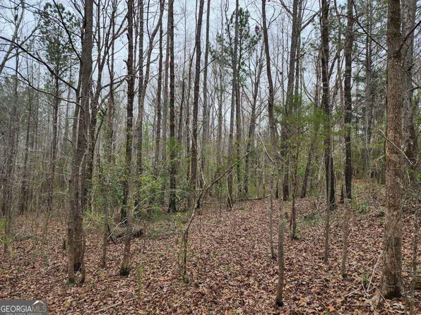 19 Smith St, Thomaston, GA 30286