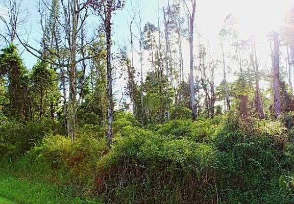 4th image of 13-3556 Kupono St Lot 49