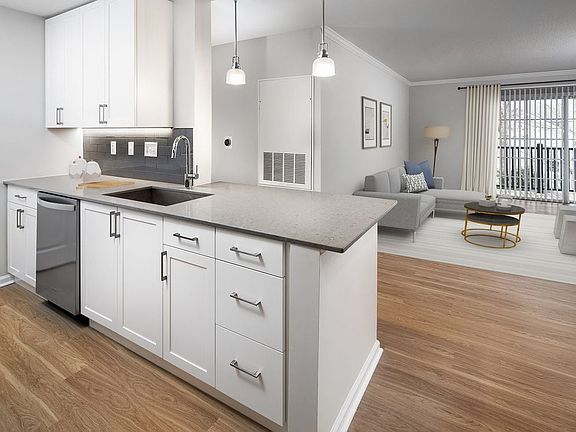 Kitchen and living area