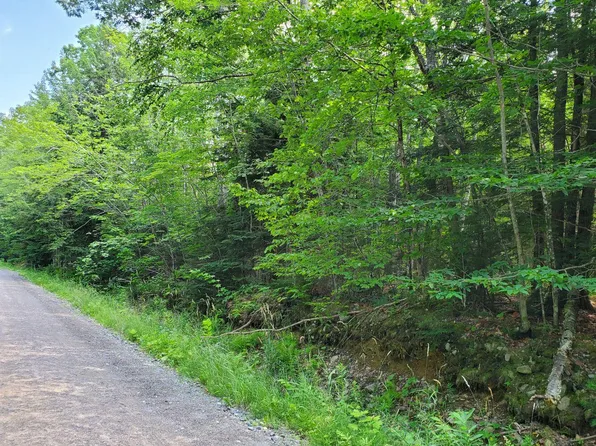 M6 L9-1 Shy Road, Palmyra, ME 04965