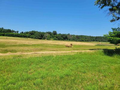 N1775 COUNTY ROAD K, Waupaca, WI, 54981