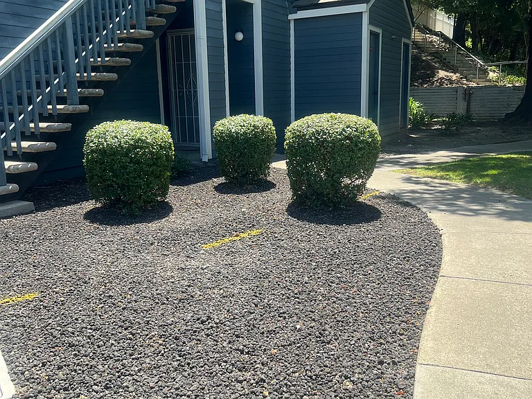 Landscaping to ground floor entrance.