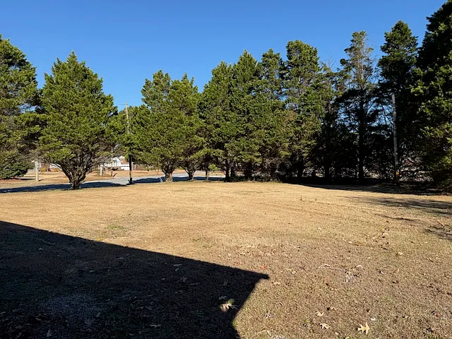 4022 E Horne Ave — Photo 11