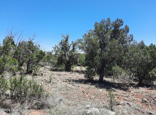 LOT 1404 W Bad Dog Rd, Seligman, AZ 86337