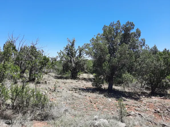 LOT 1404 W Bad Dog Rd, Seligman, AZ 86337