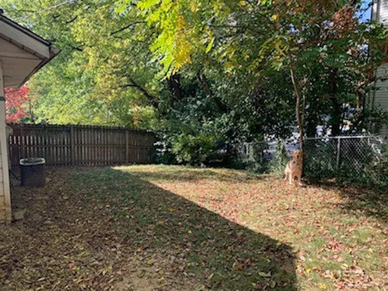 1000 W Country Club Dr — Photo 4