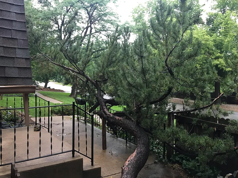 Side Yard to front entrance