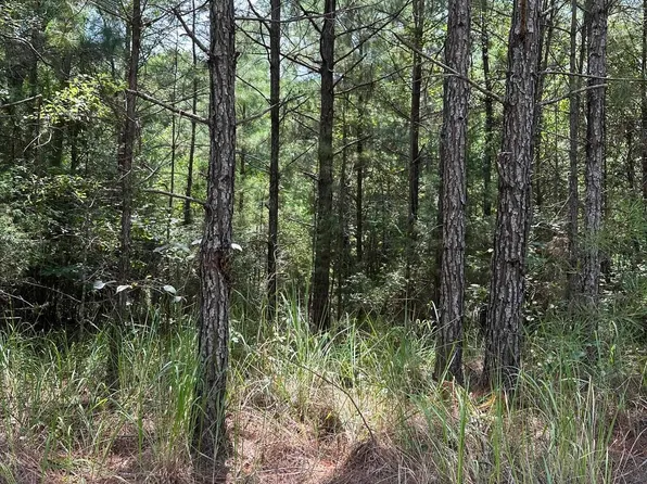 110 France City Rd, Millry, AL 36558