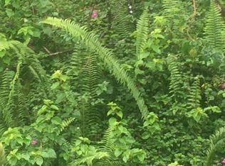 16-2125 Uhini Ana Rd LOT 2453, Mountain View, HI 96771