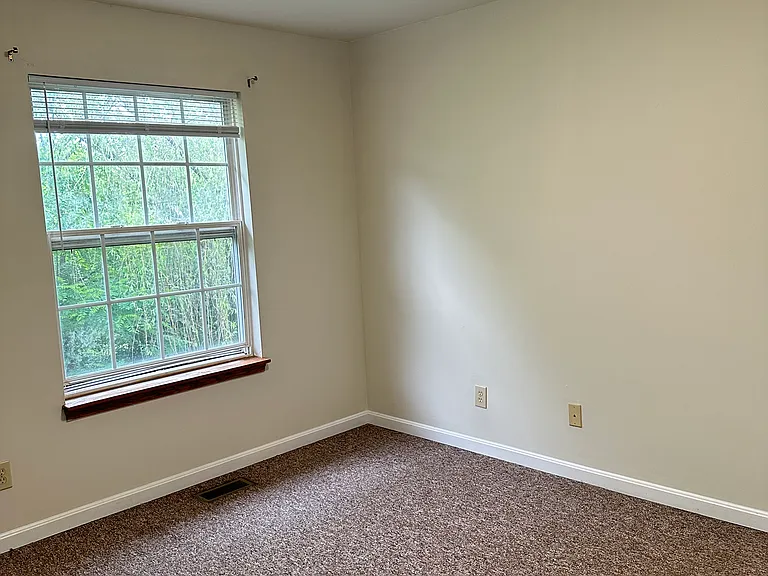 4531 Meadowlark Manor Ln — Photo 14