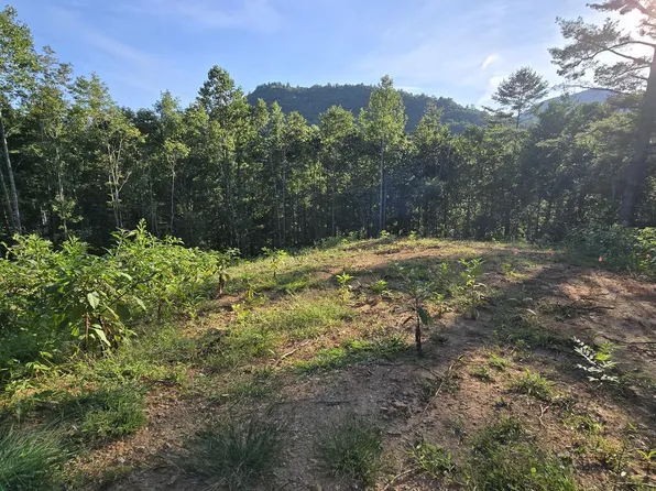 LOT 67 Hi River Rd, Hiawassee, GA 30546