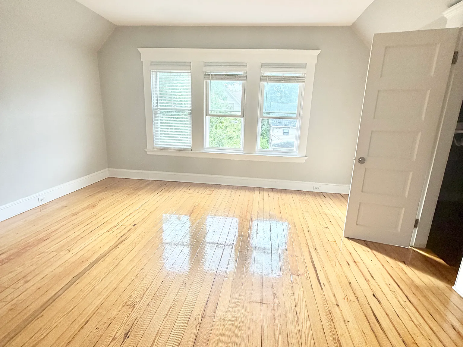 2 bed, 1000 sqft, $1,675 — Photo 4
