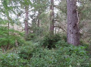 LOT Two Sandridge Rd, Ocean Park, WA 98640