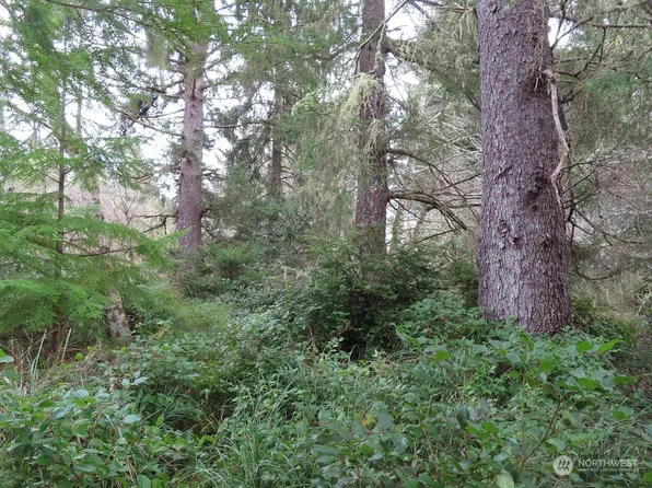 0 Lot 2 Sandridge Road, Ocean Park, WA 98640