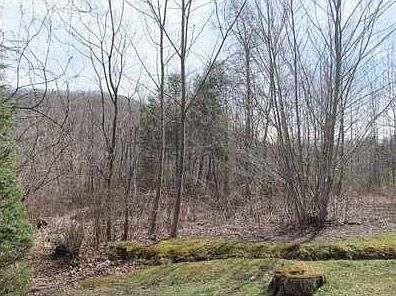 1st image of 148 Grey Squirrel Ln