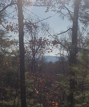 3rd image of 124 Pinnacle Peak Ln