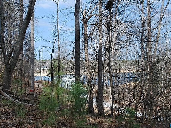 3rd image of County Road 8023