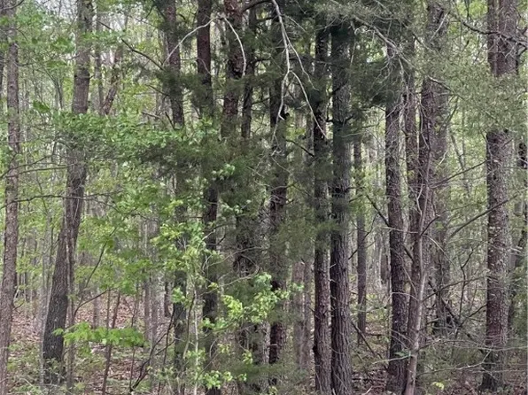 0 Union Hill Rd, Buckingham, VA 23921