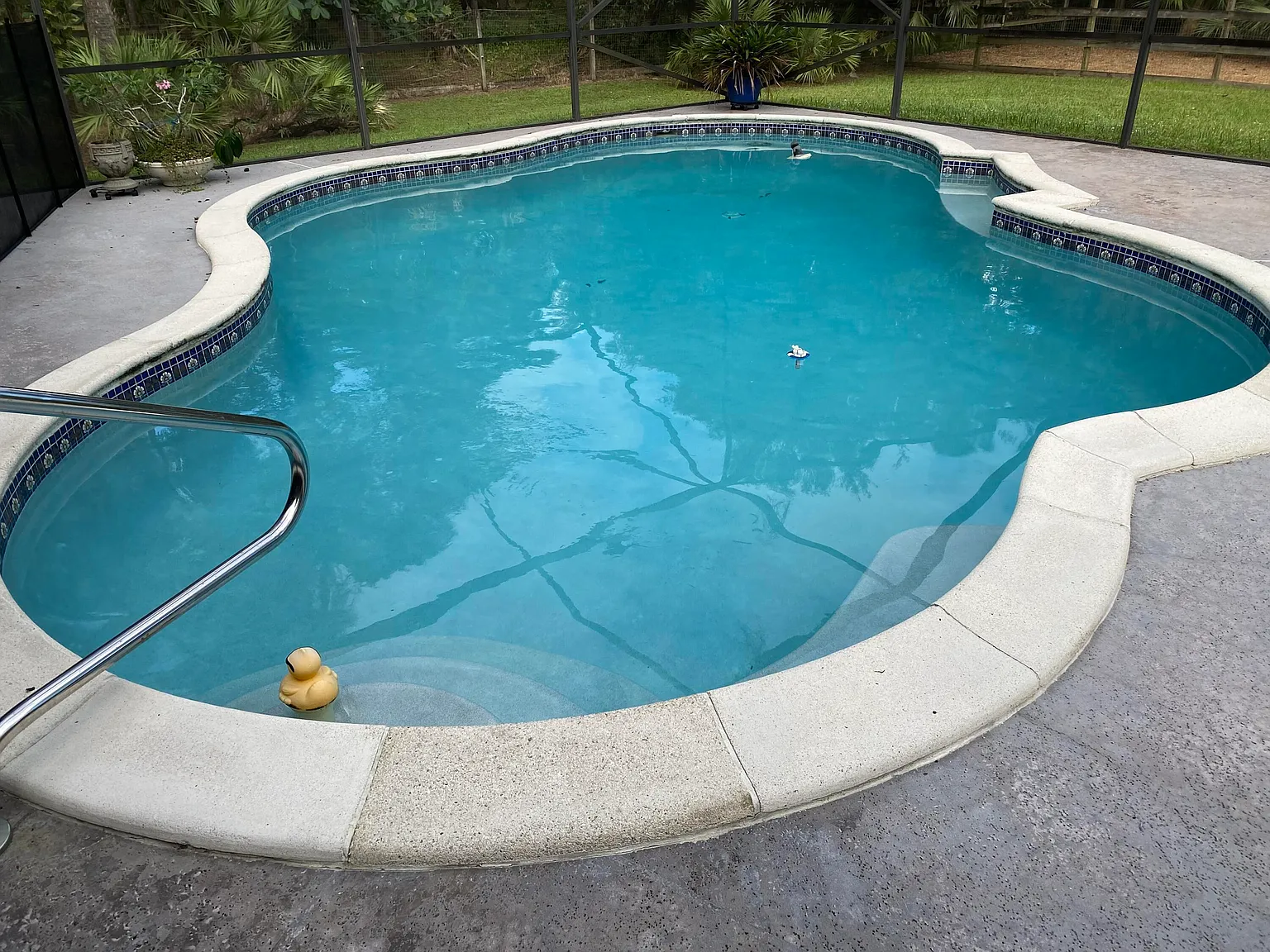 3 bed, 2.0 bath, 1775 sqft, $5,000 — Photo 2