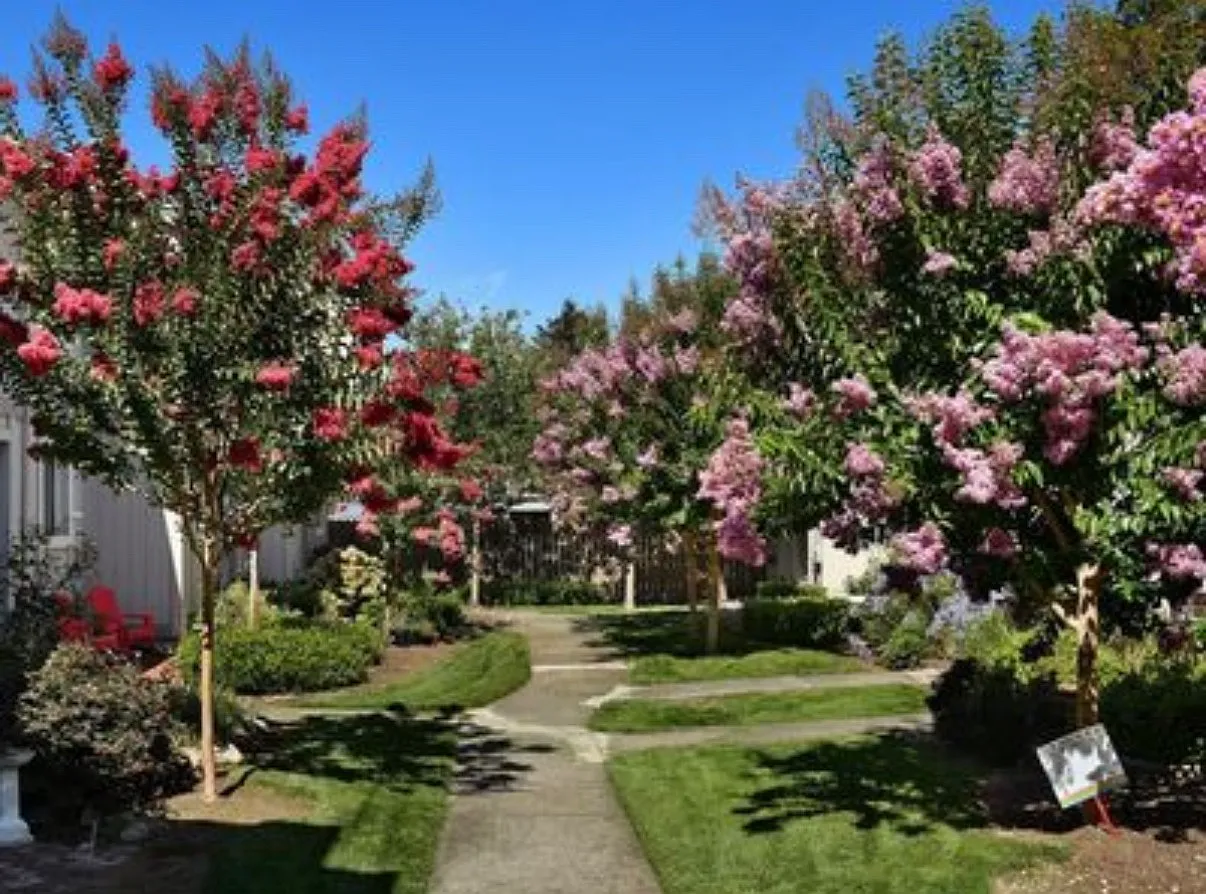 2 bed, 1.5 bath, 1072 sqft, $2,600 — Photo 3