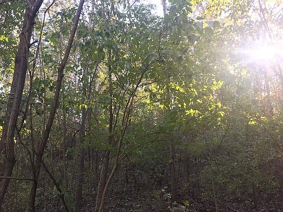 4th image of 60 Freedom Lake South Ct