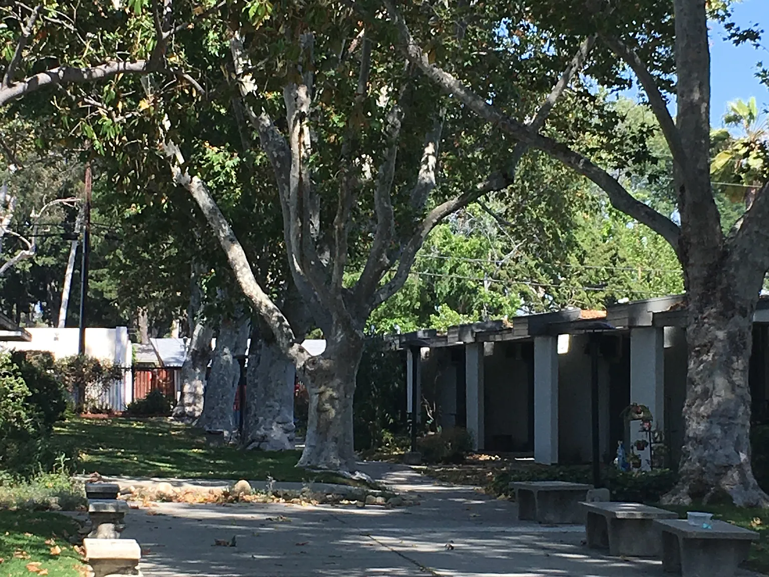 Bonita Terrace Apartments — Photo 4